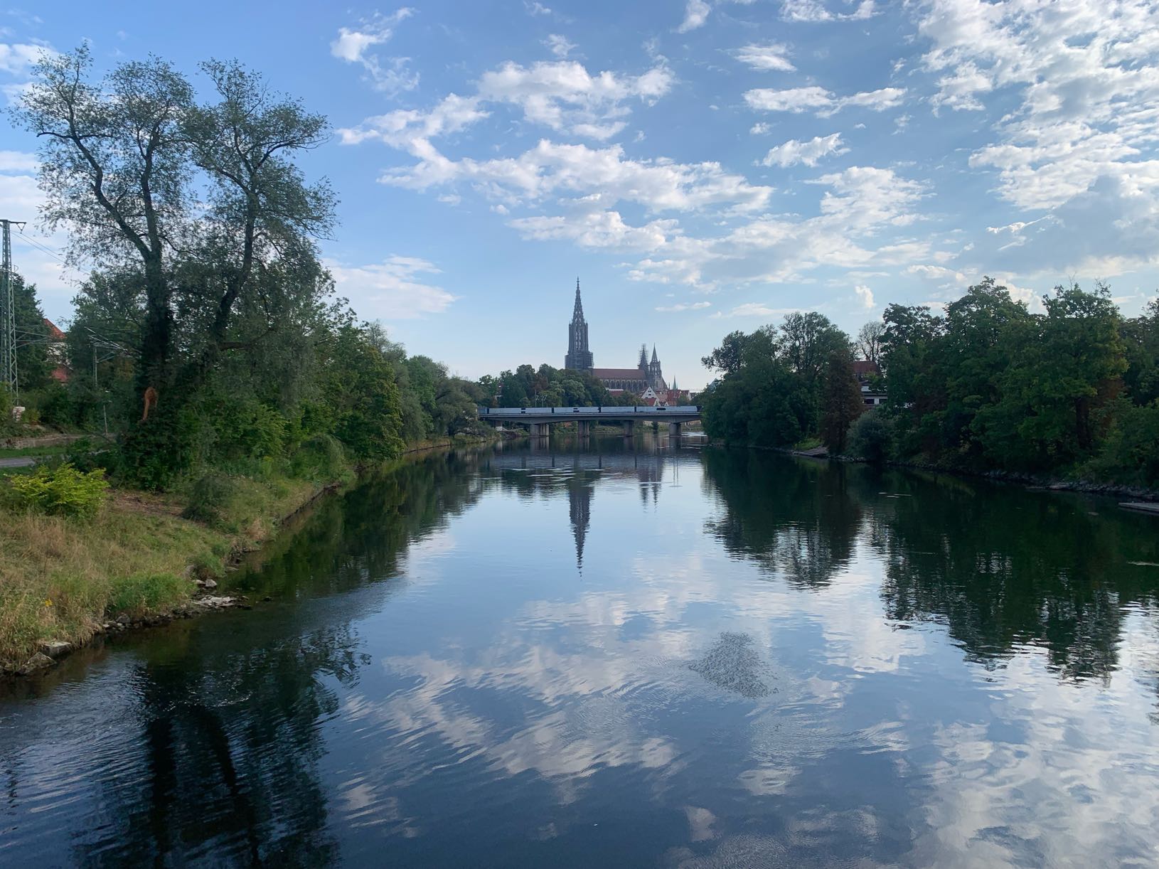 Bee and wasp stings…but still moving. And Ulm was great!