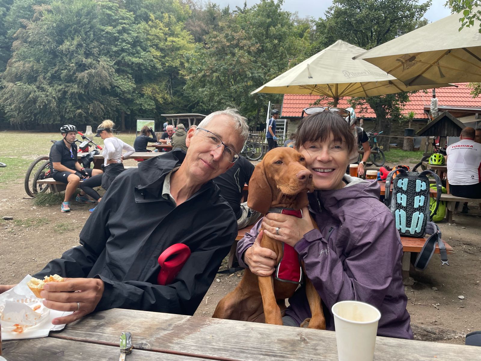 A mixed bag: a car accident, 3 Ukrainians, 2 guests, a dog named Doris and Google Translate