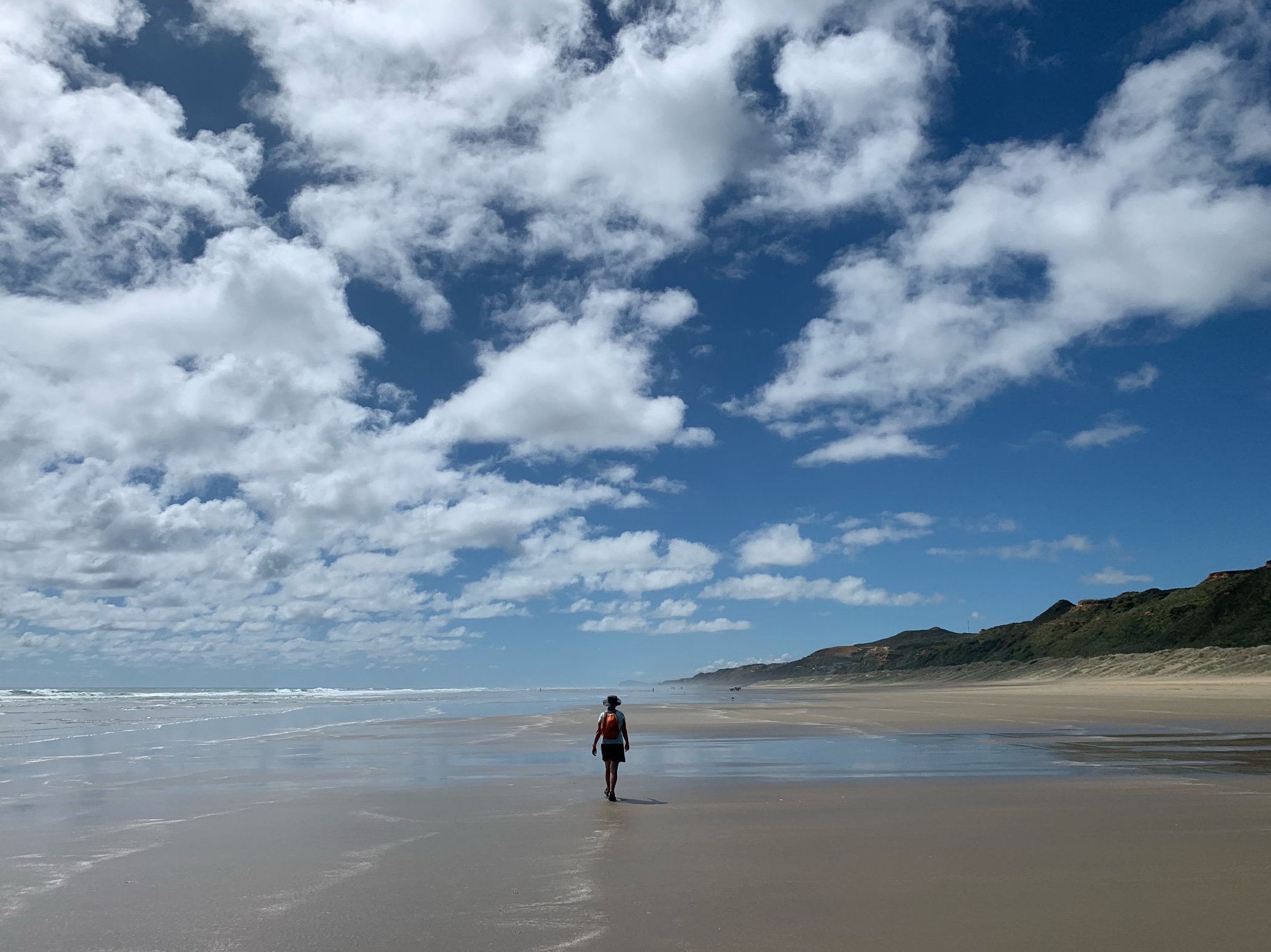 Three days towards Pouto Point and our charter boat