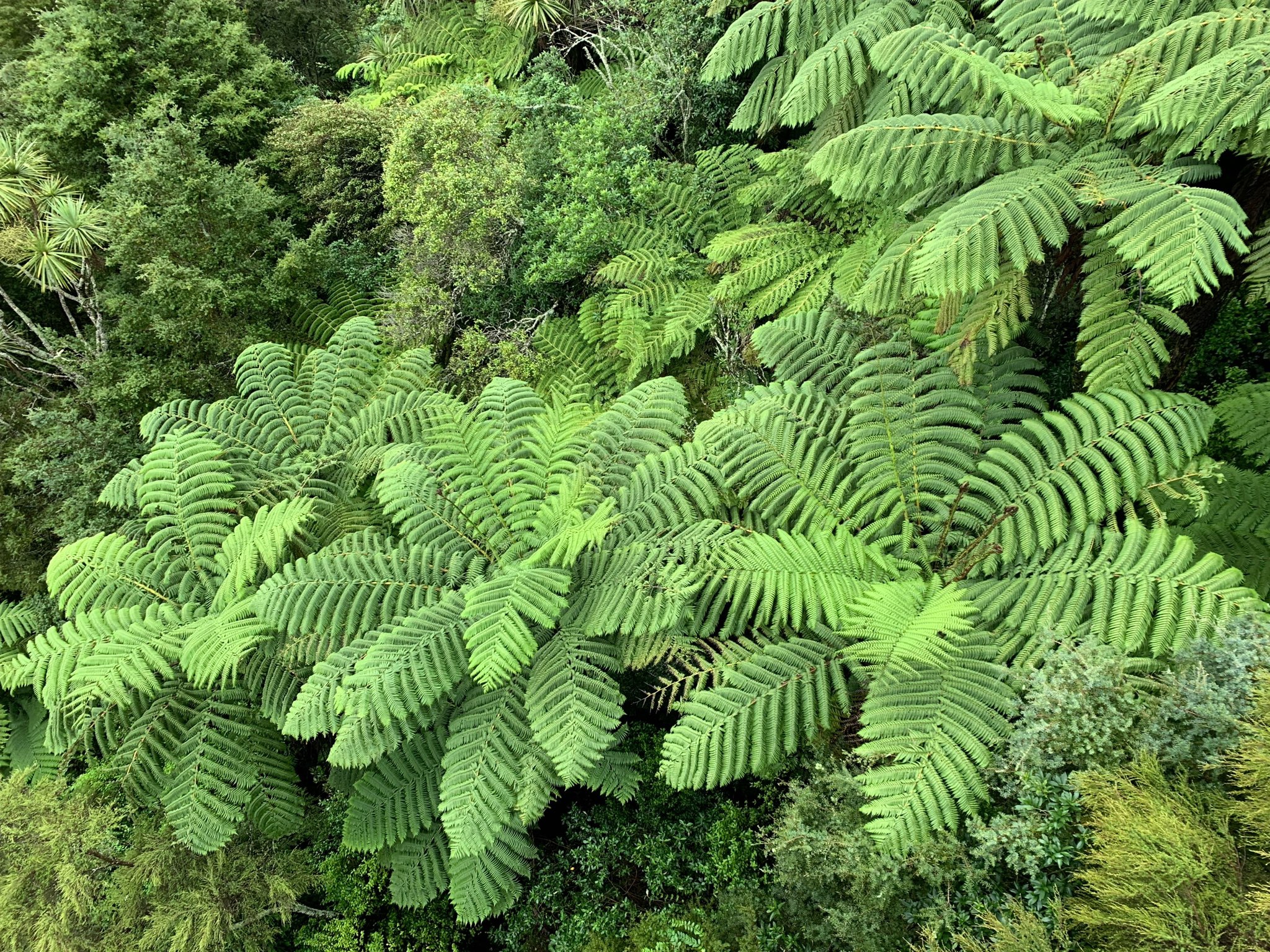 A super varied day: Arapuni to Mangakino