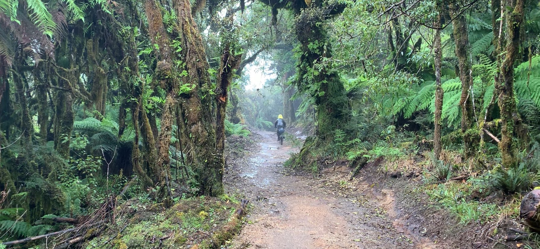 Fabulous Timber Trail to Camp Epic