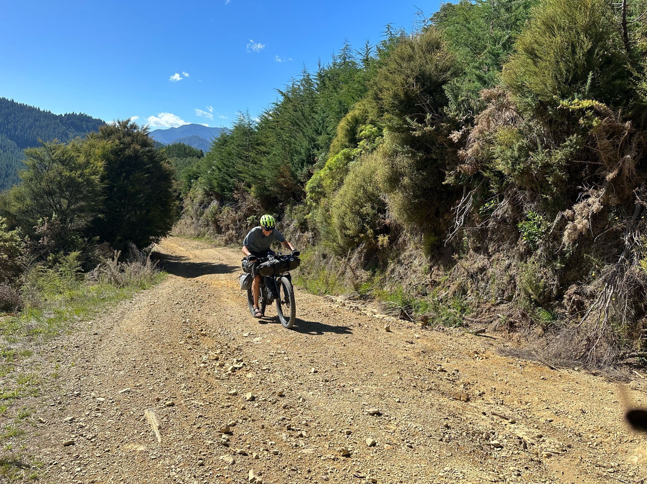 A Gruesome Climb: Maungatapu Saddle