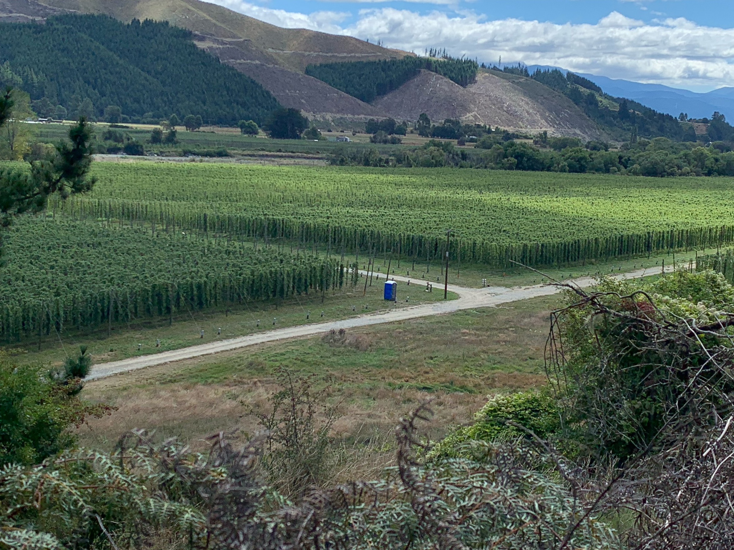 Richmond to Tapawera: short day along the Great Taste Trail
