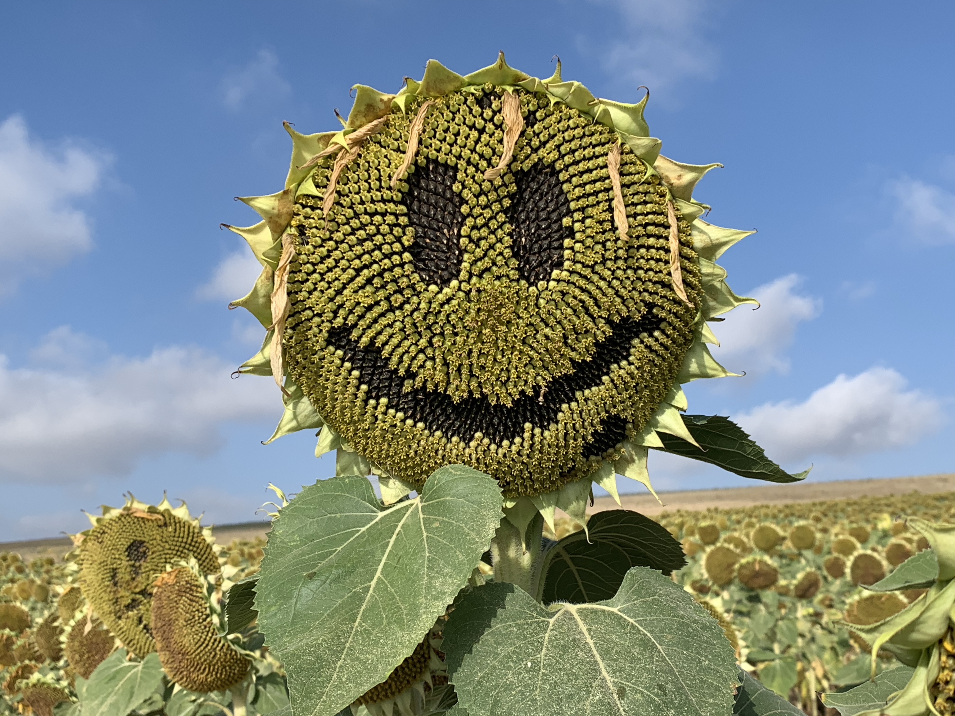 Najera to Burgos: the heat begins to break!