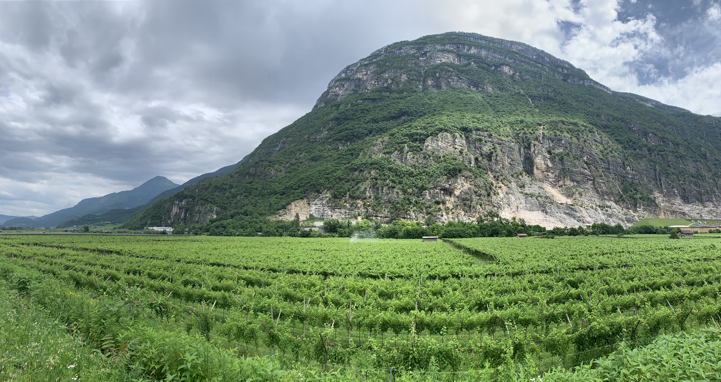 A path of wine and water on the way to Trento ￼