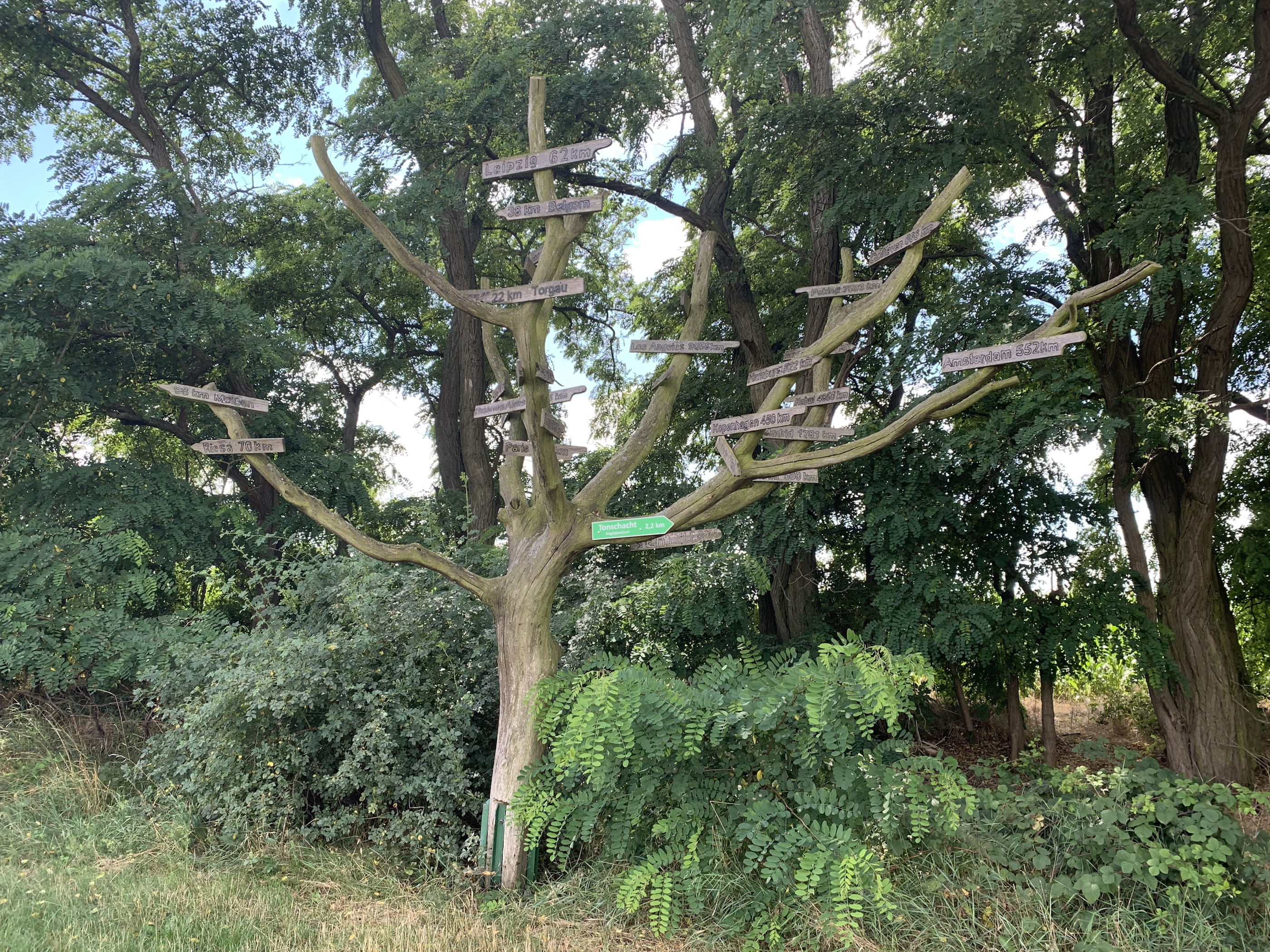 One month, 2000 km, four countries! ￼